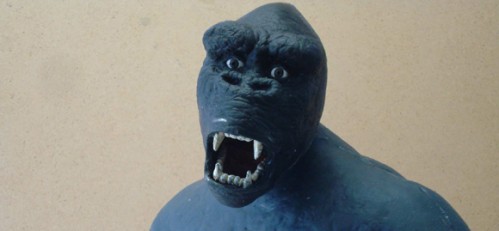 JD_KONG_004-sized