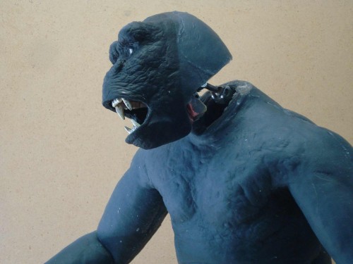 JD_KONG_005 JD_KONG_005