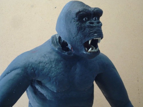 JD_KONG_006 JD_KONG_006