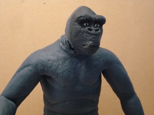 JD_KONG_009 JD_KONG_009