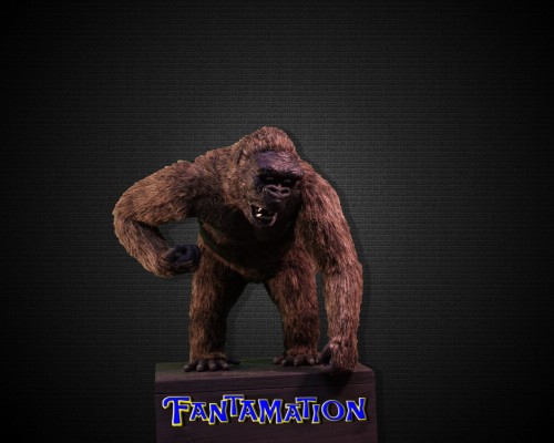 KG_JD_KONG_003