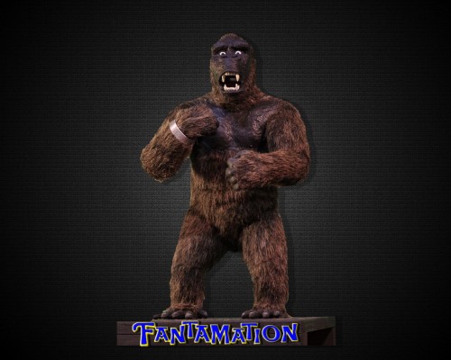 KG_JD_KONG_014