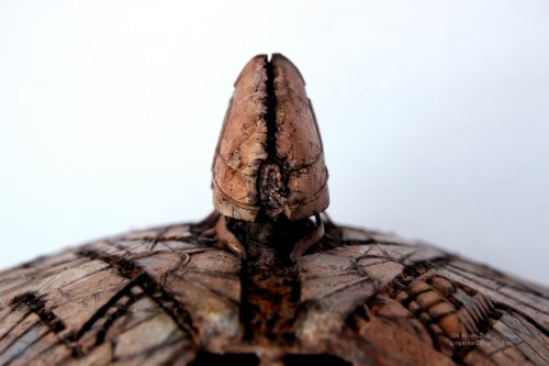 Kun_ID4_Final_14 Kun_ID4_Final_14