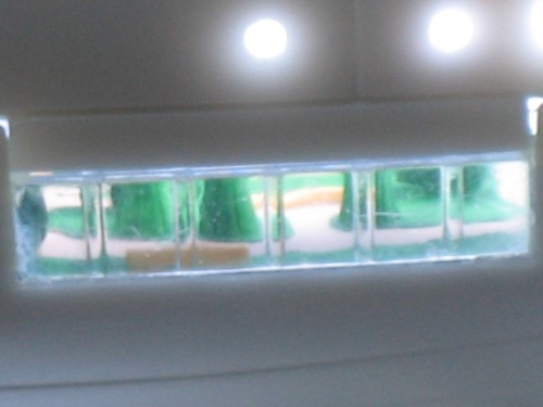 BotanicalGardens BotanicalGardens