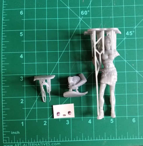 zev1