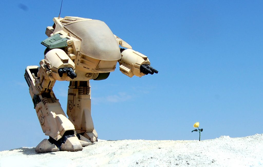 ed11